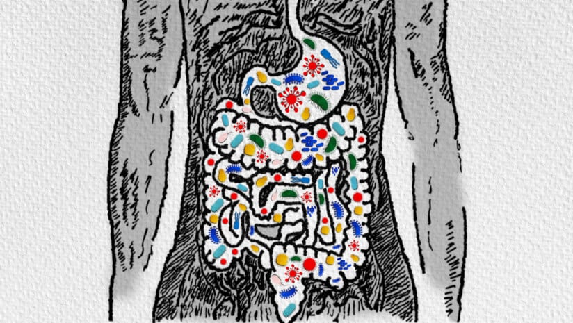 Microbiome-C-ArtemisDiana-Getty-Images.jpg