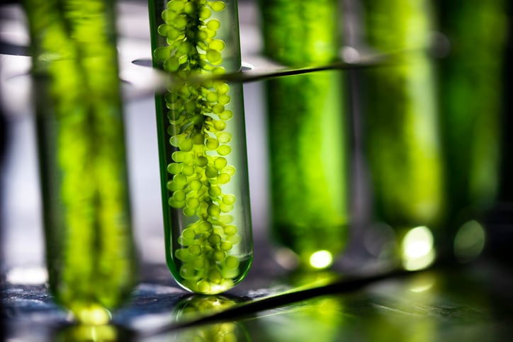 Uriach on delivering award-winning botanical solutions for global populations