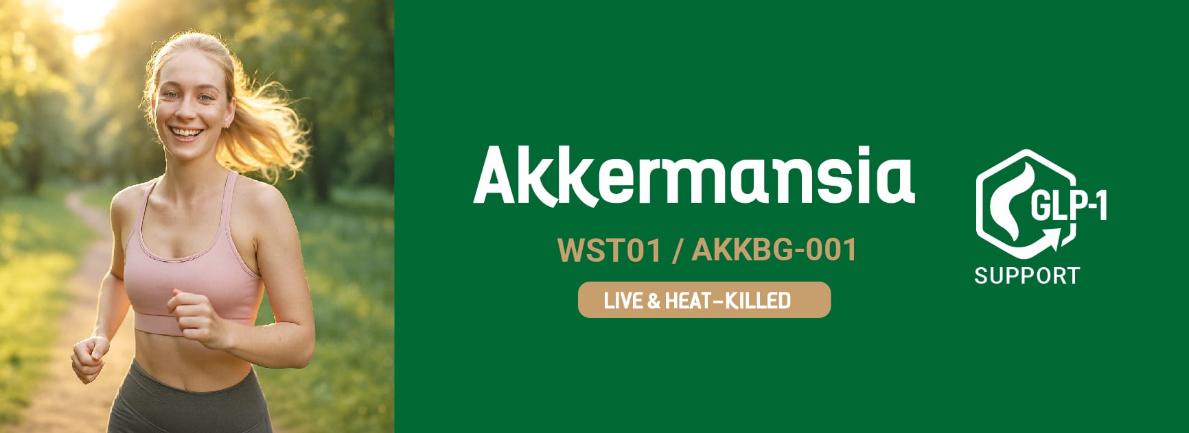 Akkermansia