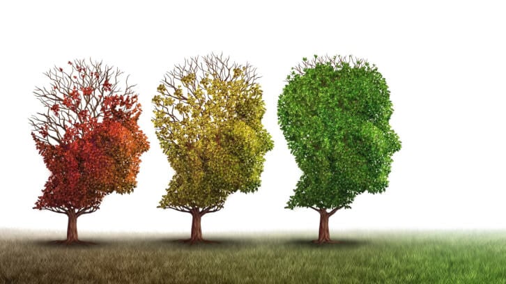Omega-3s maintain the brain, protect against degeneration: Review