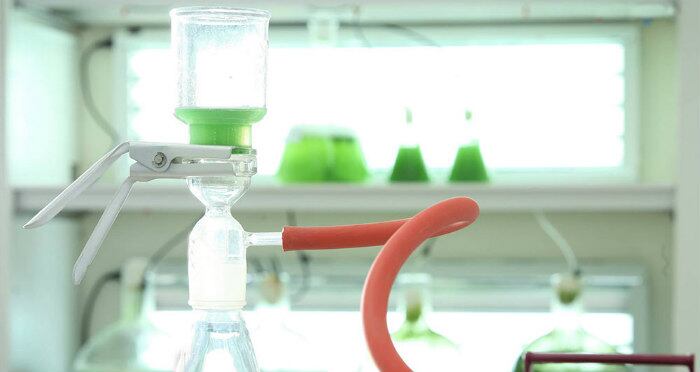 Global EcoPower acquisition will expand spirulina, phycocyanin production 