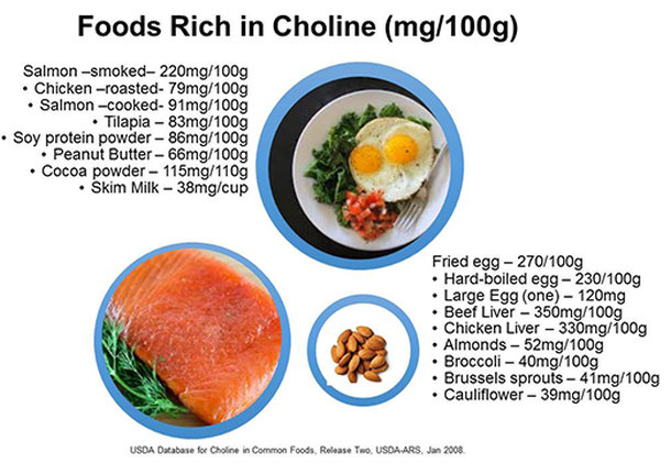 Foods rich in choline