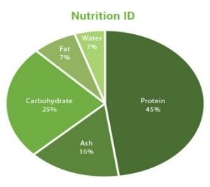 Mankai nutritional profile