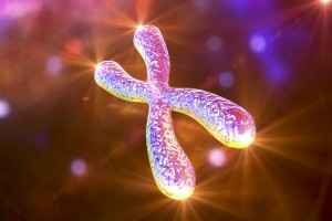 Chromosome Telomeres © iStock Dr_Microbe