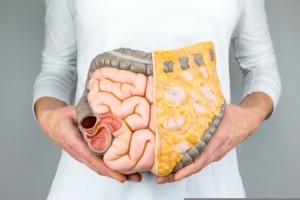 intestines gut iStock.com Ben-Schonewille
