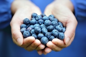Blueberries © iStock BrianAJackson