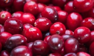 cranberries cranberry berries urinary women's UTI botanical medical device iStock.com Alexandra Thompson