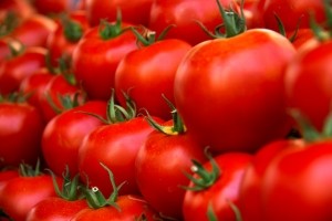 tomato iStock sultancicekgil