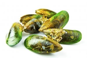 Green lipped mussels © iStock DPFishCo