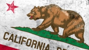 California State Flag © PromesaArtStudio Getty Images