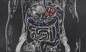 Intestines gut health © Getty Images TLFurrer