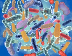 Probiotics © Getty Images image_jungle
