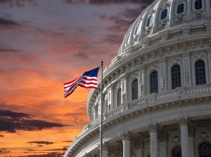 US Capitol © iStock trekandshoot