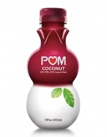POM-Coconut portrait
