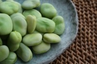 1920px-Broad-beans-after-cooking