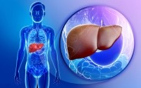 liver disease fatty