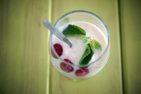 yoghurt_probiotics