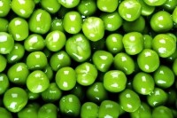 peas protein