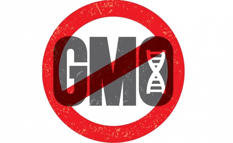 GMO labeling