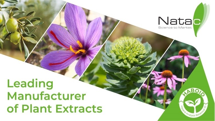 Natac- Sustainable Botanical Extracts Manufacturer
