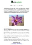 Saffron and its uses in mood disorders