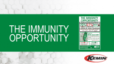 The Immunity Opportunity