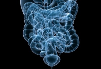 The BioCollective seeks to build big gut microbiome data set