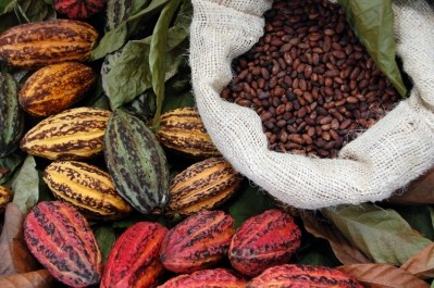“Consumers understand that chocolate can be good for them, but they may not understand the full mechanisms or research behind these benefits,” said Barry Callebaut's R&D group manager US Alan Slesinksi.