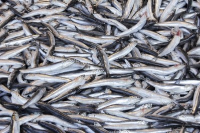Supply problems with Peruvian anchovy could create opportunity for alternative marine omega-3 sources
