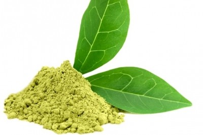 High doses of green tea extract linked to liver damage in research