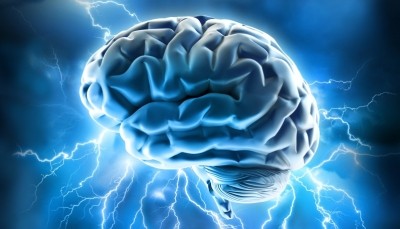 Brain boosting bioactives, Part 1: From omega-3 to vitamin E