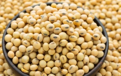 Latest research bolsters soy's benefits as estrogenic concerns recede, article asserts