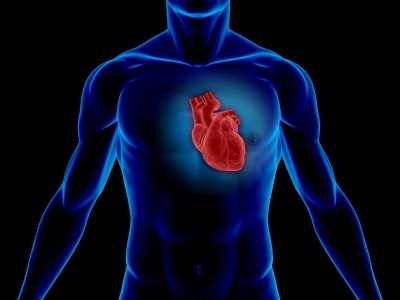 Heart health tops health concerns for 35-65 year olds: Survey