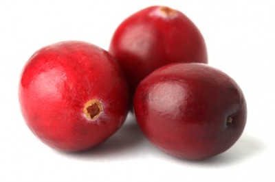 Naturex-DBS launches organic cranberry powder to US market