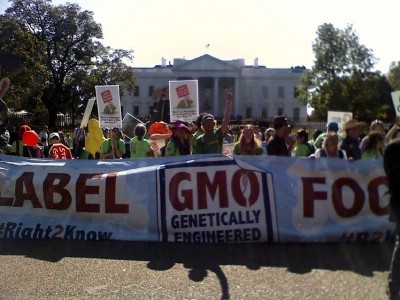 GMO labeling battle heats up in Washington State