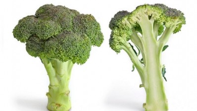 Broccoli is the only commonly eaten vegetable that contains meaningful quantities of glucoraphanin – a naturally occurring compound beneficial to health