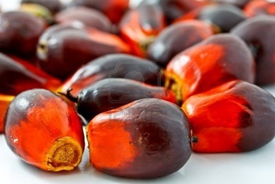 Palm oil firm says sustainability not so focal for supplements