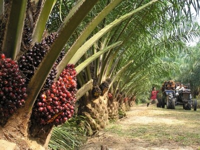 Carotech's feedstocks are sourced from non-GMO Malaysian Oil Palm (Elaeis guineensis)
