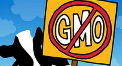 Vermont GMO labeling bill passes state senate