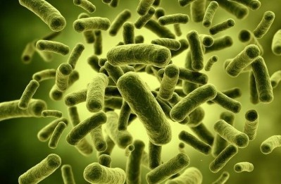 Lab contamination may have tainted many microbiota study results, warn researchers.