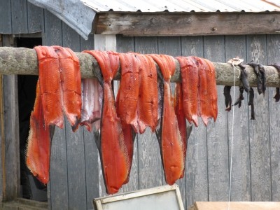 March 2011 in pictures: Omega-3, carotenoids, GNC