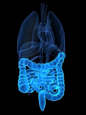 EndoSeaRch: A new way to modify gut health?