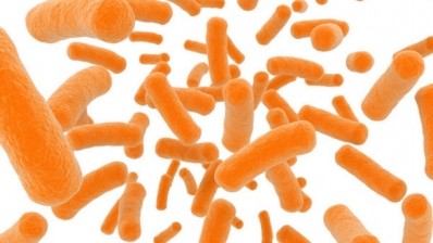 Probiota Insights: What have the last five years taught us about probiotics?