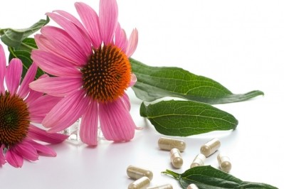 In pictures: The top botanicals and their health benefits