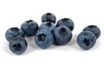 Prebiotic fibers and soy lecithin – rich in phospholipids – can be infused into fruit like blueberries, report scientists from the University of Guelph