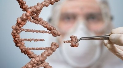 Foods developed using more modern biotech techniques such as gene editing will not be subject to mandatory GMO labeling. Picture: istockphoto-vchal