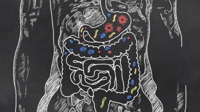 The new and improved collection of bacteria is expected to vastly improve research into the human microbiome by facilitating more accurate detection of bacterial strains in the gut. ©Getty Images