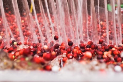 Fruit d'Or, Hydromer cooperate on cranberry/carvacrol ingredient that trades on synergistic effects