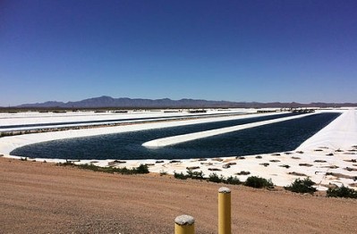 iWi grows its algae on this farm in Columbus, NM, and at another site in Texas.  iWi photo.