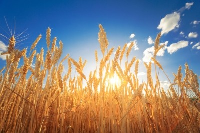 An NAD ruling has concluded that the processing steps used to convert wheat starch into a high fiber wheat dextrin used in some of GSK's Benefiber products mean the product should not be called 